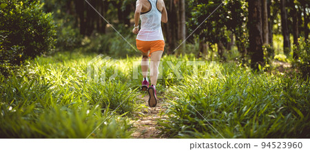Trail runner running in summer forest trail Trail runner running in summer forest trail 94523960