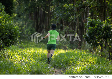 Woman trail runner running at sunrise tropical forest mountain peak Woman trail runner running at sunrise tropical forest mountain peak 94523962