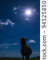 [沖繩縣與那國島]月夜映照下的與那國馬 94525850