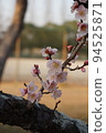 梅花 94525871