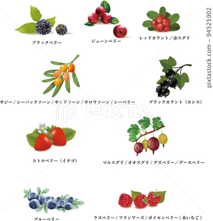 Blueberry Cassis Currant Strawberry Sassy Raspberry Boysenberry Strawberry Berries 94525902