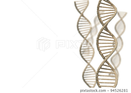 Image of double helix of DNA Image of double helix of DNA 94526281