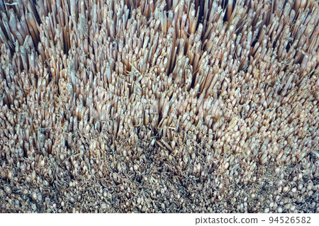 Image of a thatched roof taken from below 94526582