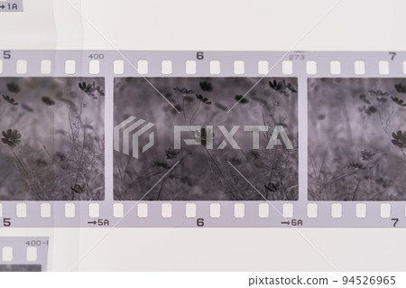 Developed monochrome film Developed monochrome film 94526965