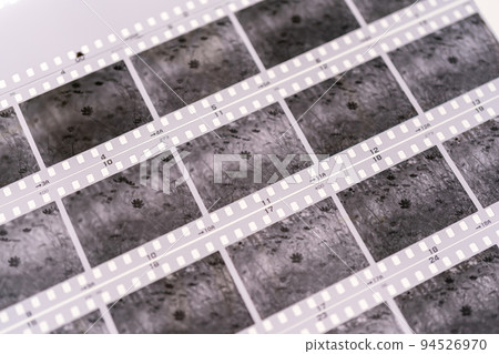 Developed monochrome film 94526970