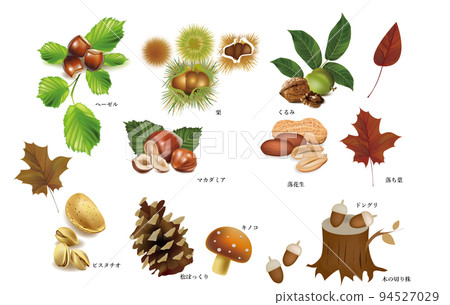 秋季口味，松果，栗子，落葉，堅果和種子，核桃，腰果，榛子，澳洲堅果，山核桃，開心果 94527029