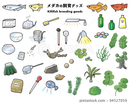 青鱂和養殖商品的插圖集 青鱂和養殖商品的插圖集 94527859