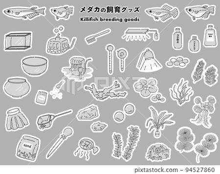 青鱂和養殖用品插圖集(黑白) 青鱂和養殖用品插圖集(黑白) 94527860
