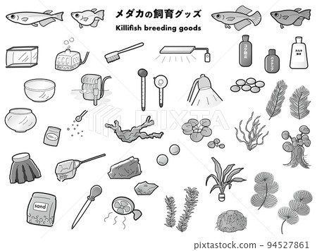 青鱂和養殖用品插圖集(黑白) 青鱂和養殖用品插圖集(黑白) 94527861