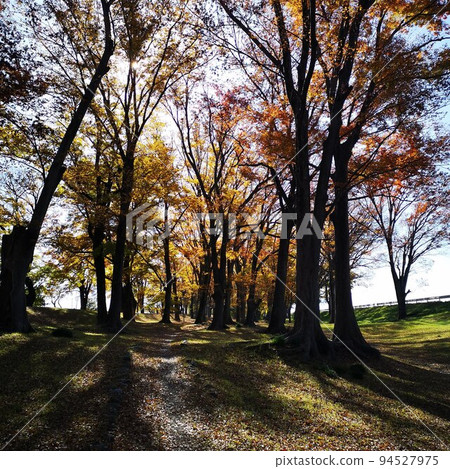 Park autumn Park autumn 94527975