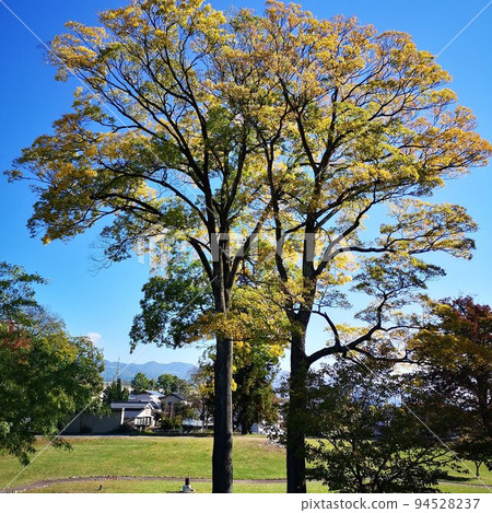 公園初秋 94528237