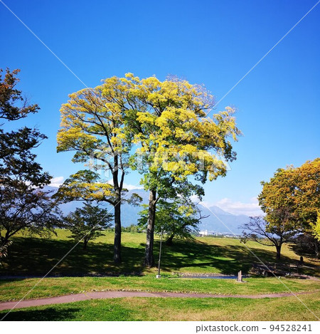 公園初秋 公園初秋 94528241