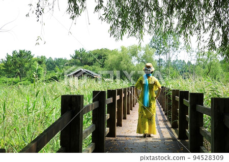 自然生態、沼澤 自然生態、沼澤 94528309