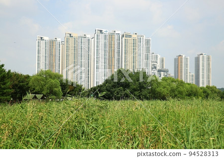 Natural ecology, wetland 94528313