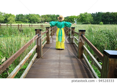 Natural ecology, wetland Natural ecology, wetland 94528333