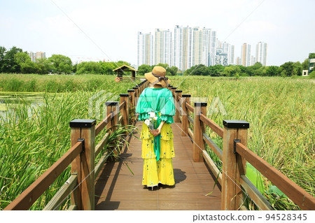 自然生態、沼澤 自然生態、沼澤 94528345