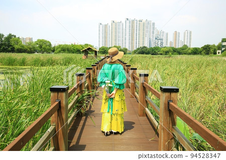 自然生態、沼澤 自然生態、沼澤 94528347