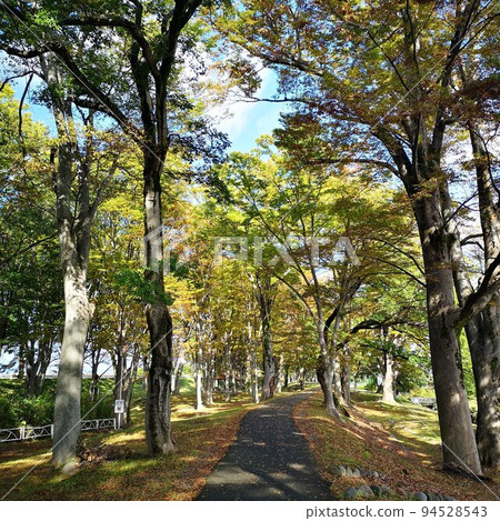 公園初秋 公園初秋 94528543