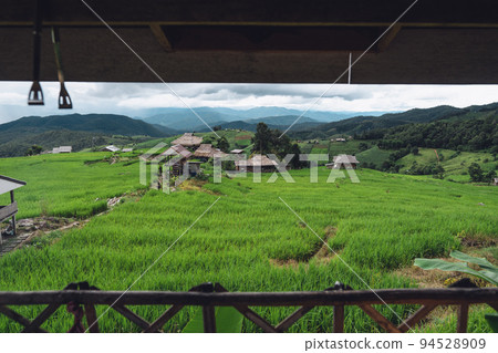 View of the rice fields from the hut View of the rice fields from the hut 94528909