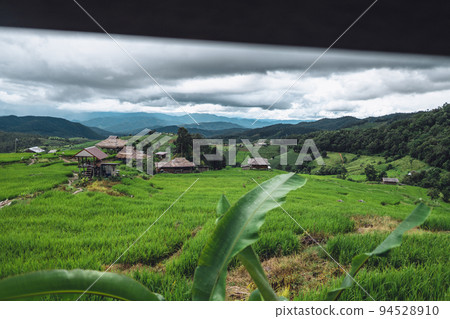 View of the rice fields from the hut View of the rice fields from the hut 94528910