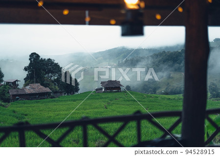 View of the rice fields from the hut 94528915