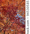 Photo of autumn leaves 94530585