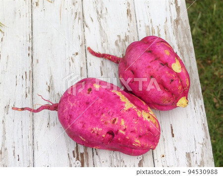 Satsuma sweet potatoes that are like a couple, like a parent and child Satsuma sweet potatoes that are like a couple, like a parent and child 94530988