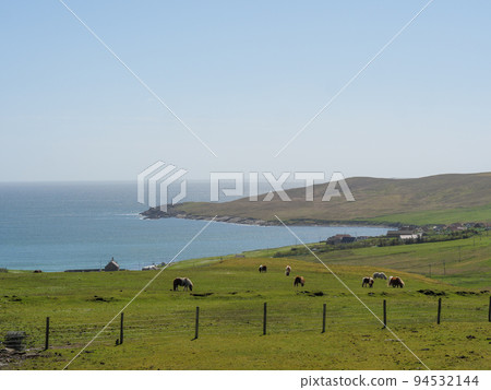 The city of Lerwick and the shetland islands in scotland 94532144