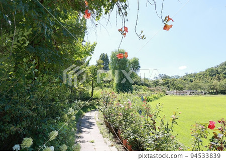 beautiful garden, garden view beautiful garden, garden view 94533839