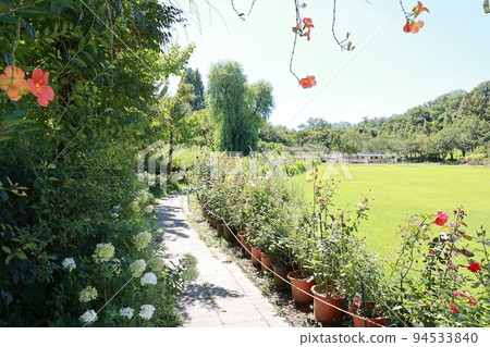 beautiful garden, garden view beautiful garden, garden view 94533840