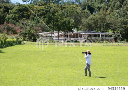 beautiful garden, garden view beautiful garden, garden view 94534639