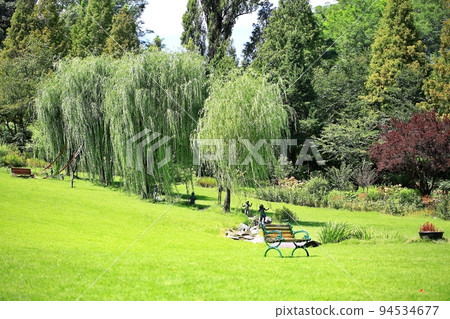 美麗的花園,花園景觀 美麗的花園,花園景觀 94534677