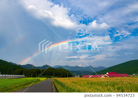 Rainbow Street 94534723