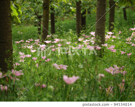 Newcastle upon tyne at the north sea in northern england Newcastle upon tyne at the north sea in northern england 94534814