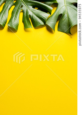 Animation of green lush leaves over yellow background with copy space 94535975