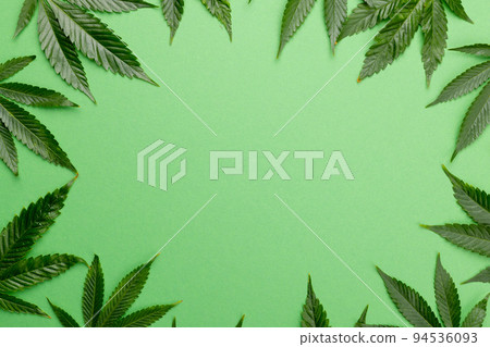 Image of marihuana leaves lying on white background Image of marihuana leaves lying on white background 94536093