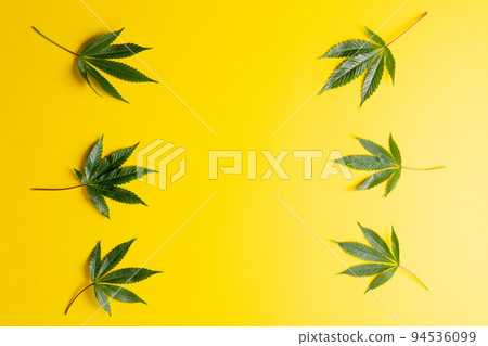 Image of marihuana leaves lying on yellow background 94536099