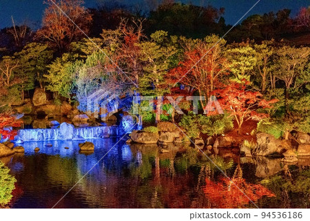 Illuminated autumn leaves and pond Illuminated autumn leaves and pond 94536186