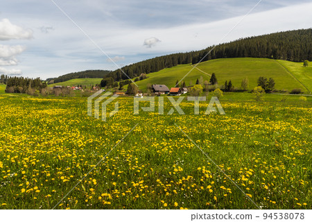 Meadow with wildflowers and farm houses in the Black Forest in Southern Germany Meadow with wildflowers and farm houses in the Black Forest in Southern Germany 94538078