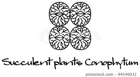 肉質植物 Conophytum 字符圖向量 肉質植物 Conophytum 字符圖向量 94540032