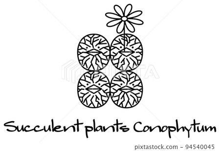 Flowering Succulent Conophytum Character Illustration Vector 94540045