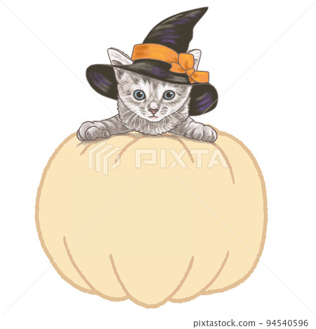 Witch costume kitty Halloween pumpkin frame 94540596
