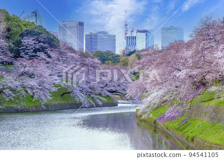 Cherry blossom moat and Tokyo Tower Cherry blossom moat and Tokyo Tower 94541105