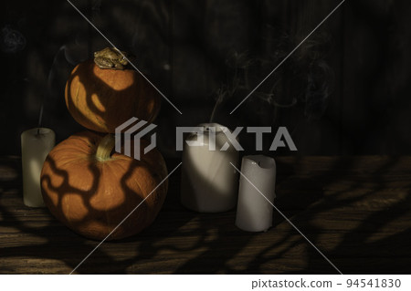 Little frog on an orange pumpkins for Halloween with the shadow of the branches of a creepy tree on dark background. festive design with candles Little frog on an orange pumpkins for Halloween with the shadow of the branches of a creepy tree on dark background. festive design with candles 94541830