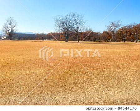 Park from late autumn to early winter 94544170