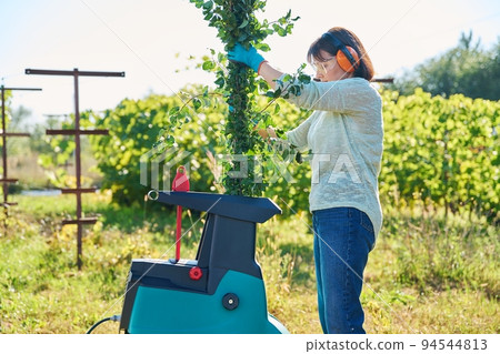 Woman using electric garden shredder for branches and bushes Woman using electric garden shredder for branches and bushes 94544813