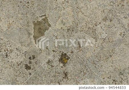 An old gray cracked stone covered with a white fungus. For background or texture An old gray cracked stone covered with a white fungus. For background or texture 94544833
