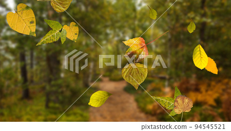 Image of multiple autumn leaves falling in the foreground Image of multiple autumn leaves falling in the foreground 94545521