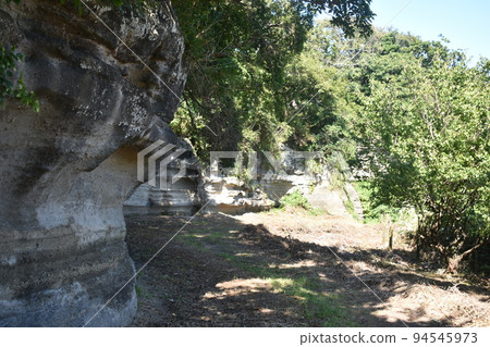 桑巴排球的珍貴海岸 94545973