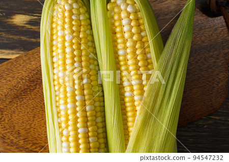 Corn 94547232